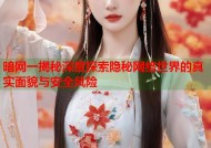 暗网一揭秘深度探索隐秘网络世界的真实面貌与安全风险