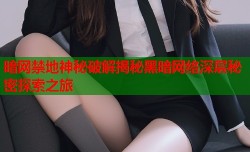 暗网禁地神秘破解揭秘黑暗网络深层秘密探索之旅