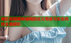 暗区禁网揭秘暗网的定义用途与安全风险全面解析