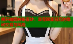揭开暗网神秘面纱：章莹颖案背后的隐秘交易与风险