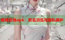 暗网禁地apk：匿名浏览与隐私保护