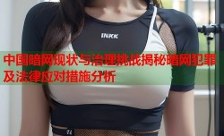 中国暗网现状与治理挑战揭秘暗网犯罪及法律应对措施分析