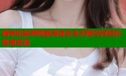 暗帝的禁宠网盘高速安全无限空间轻松管理资源