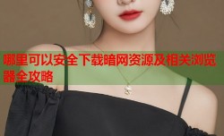 哪里可以安全下载暗网资源及相关浏览器全攻略