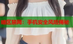 暗区禁网：手机安全风险揭秘