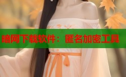 暗网下载软件：匿名加密工具
