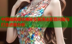 中国暗网现状揭秘及其违法犯罪问题与打击进展分析