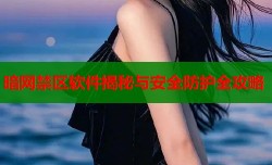 暗网禁区软件揭秘与安全防护全攻略