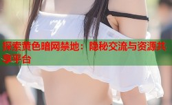 探索黄色暗网禁地：隐秘交流与资源共享平台
