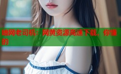 暗网老司机：网黄资源高速下载，你懂的