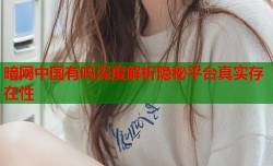 暗网中国有吗深度解析隐秘平台真实存在性