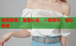 暗帝禁宠：海量小说，一键缓存，随心畅读