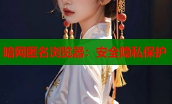 暗网匿名浏览器：安全隐私保护