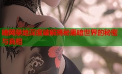 暗网禁地深度破解揭秘黑暗世界的秘密与真相
