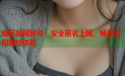 暗区禁网账号：安全匿名上网，畅享无阻网络体验