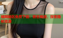 暗网禁区免费下载：匿名畅游，探索隐秘资源