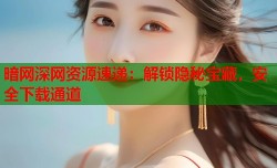 暗网深网资源速递：解锁隐秘宝藏，安全下载通道