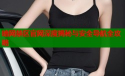 暗网禁区官网深度揭秘与安全导航全攻略