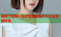 暗网下载网一站式资源获取平台安全快捷体验