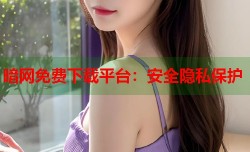 暗网免费下载平台：安全隐私保护