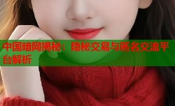 中国暗网揭秘：隐秘交易与匿名交流平台解析