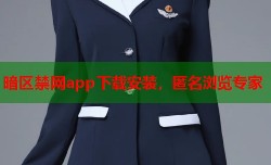 暗区禁网app下载安装，匿名浏览专家