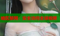 暗区禁网：安全访问全球视频