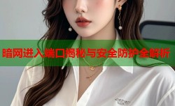 暗网进入端口揭秘与安全防护全解析