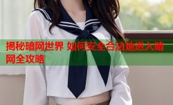 揭秘暗网世界 如何安全合法地进入暗网全攻略