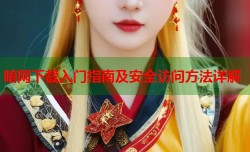 暗网下载入门指南及安全访问方法详解