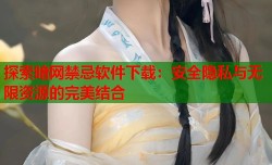 探索暗网禁忌软件下载：安全隐私与无限资源的完美结合