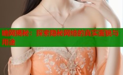 暗网揭秘：探索隐秘网络的真实面貌与用途
