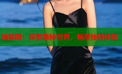 暗禁网：探索隐秘世界，畅享独特体验