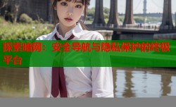 探索暗网：安全导航与隐私保护的终极平台