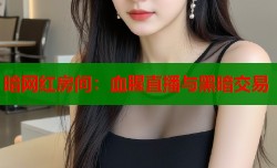 暗网红房间：血腥直播与黑暗交易