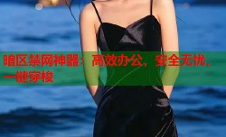 暗区禁网神器：高效办公，安全无忧，一键穿梭