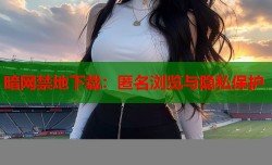 暗网禁地下载：匿名浏览与隐私保护