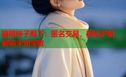 暗网柿子殿下：匿名交易，隐私护航，解锁未知宝藏