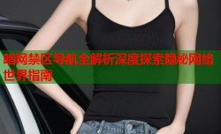 暗网禁区导航全解析深度探索隐秘网络世界指南