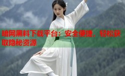 暗网黑料下载平台：安全便捷，轻松获取隐秘资源