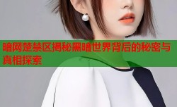 暗网楚禁区揭秘黑暗世界背后的秘密与真相探索