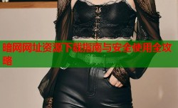 暗网网址资源下载指南与安全使用全攻略