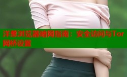 洋葱浏览器暗网指南：安全访问与Tor网桥设置