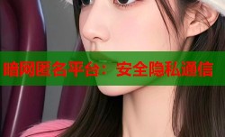 暗网匿名平台：安全隐私通信