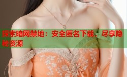 探索暗网禁地：安全匿名下载，尽享隐秘资源