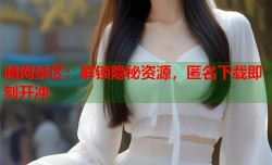 暗网禁区：解锁隐秘资源，匿名下载即刻开冲