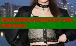 暗网短视频揭秘背后的隐秘世界与网络黑暗角落探索
