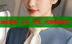 暗区禁网：安全、自由、无限网络体验