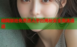 暗网禁地免费进入平台揭秘安全高速通道
