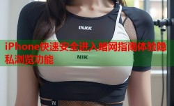 iPhone快速安全进入暗网指南体验隐私浏览功能
